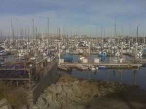Monterey Bay Wharf